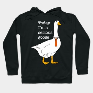 Today I'm A Serious Goose Silly Goose Cute Funny Hoodie